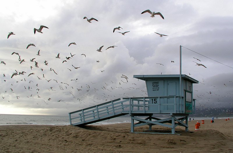 Santa Monica