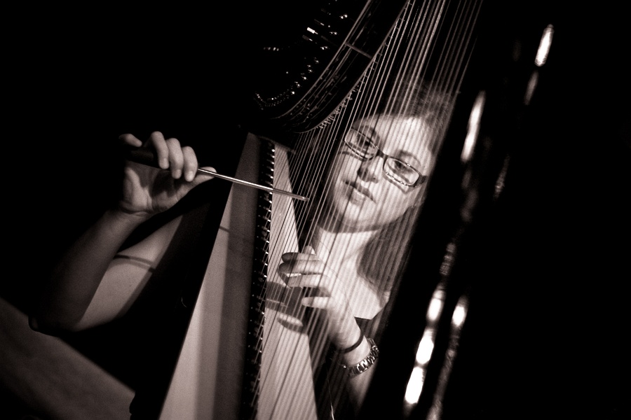 Harpcore